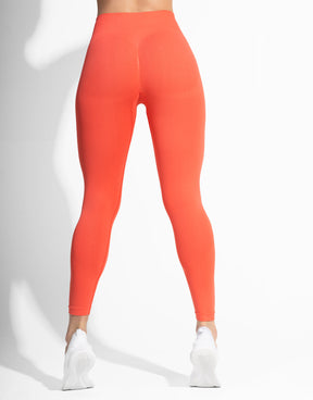 BASSIC ORANGE SEAMLESS (FREE TOP)