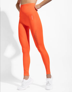 CLASSIC ORANGE SEAMLESS (FREE TOP)