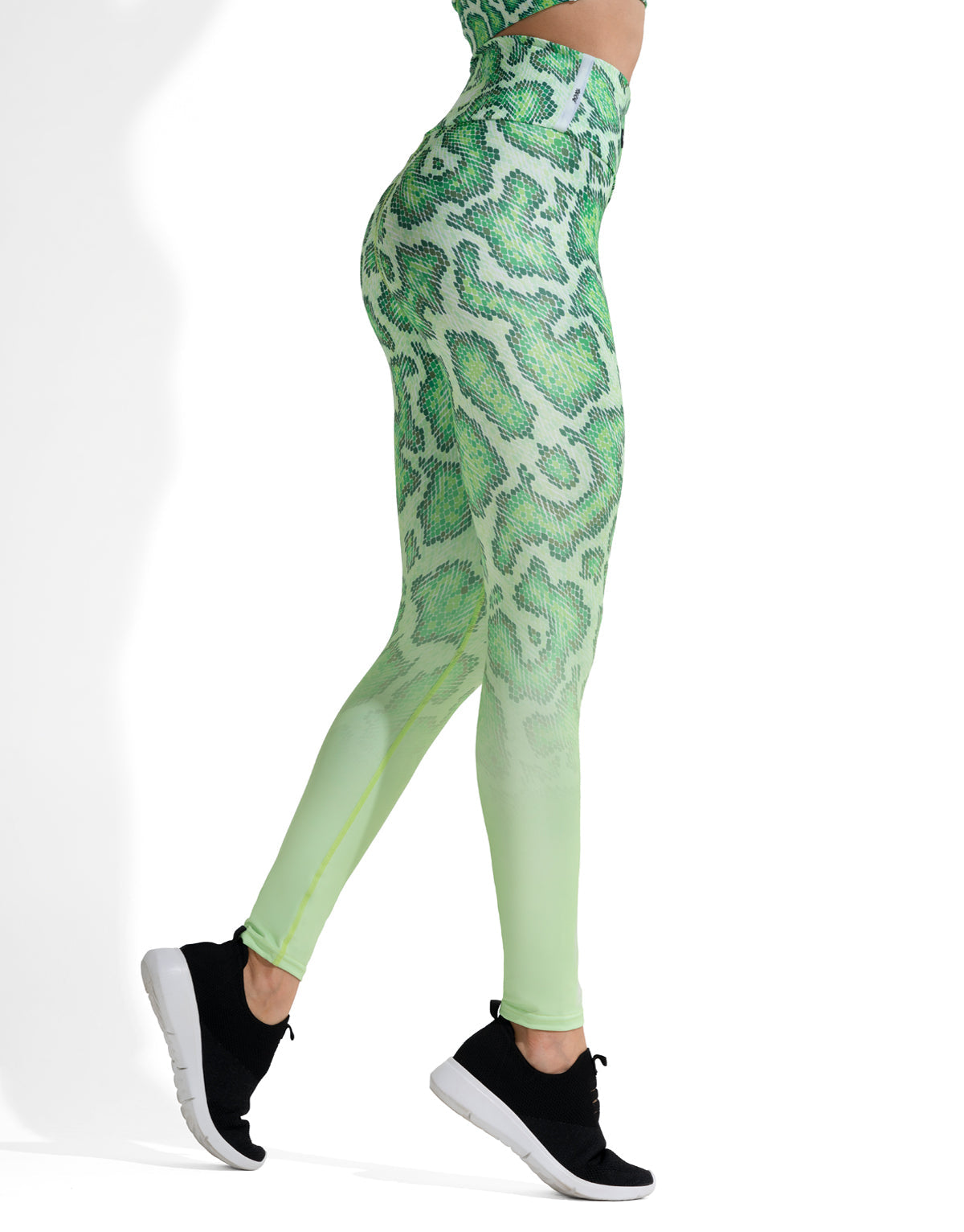 SNAKE LIME (FREE TOP)