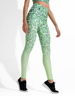 SNAKE LIME (FREE TOP)